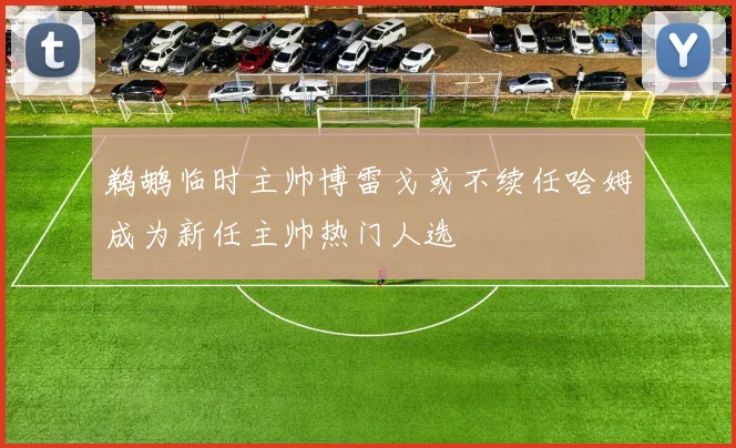 鹈鹕临时主帅博雷戈或不续任哈姆成为新任主帅热门人选