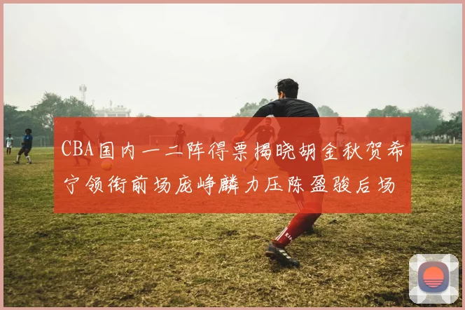 CBA国内一二阵得票揭晓胡金秋贺希宁领衔前场庞峥麟力压陈盈骏后场