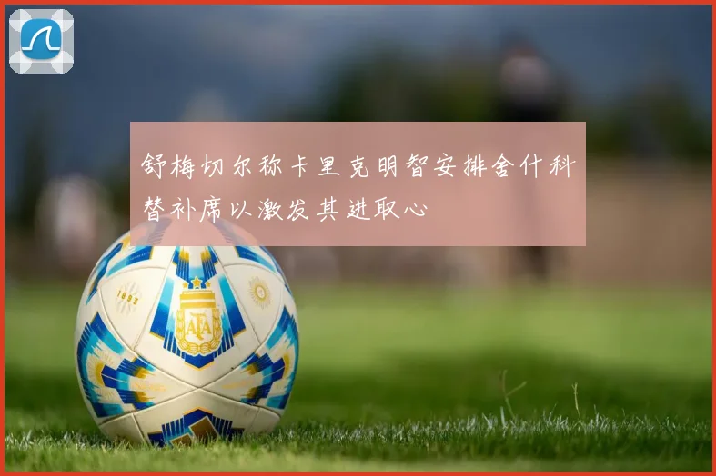 舒梅切尔称卡里克明智安排舍什科替补席以激发其进取心