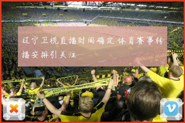 辽宁卫视直播时间确定 体育赛事转播安排引关注