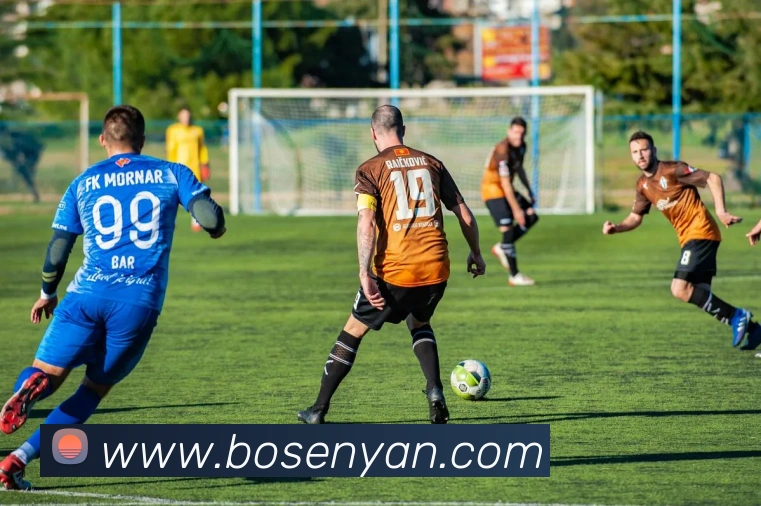 星空网网页版入口平台生态图